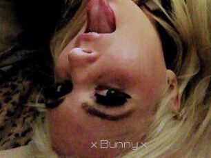 _x_Bunny_x_
