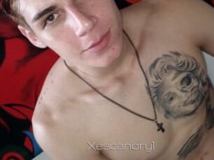 Xescanory1