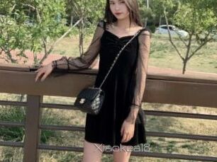 Xiaokea18