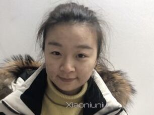 Xiaoniuniu