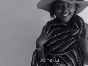 Xtinekui