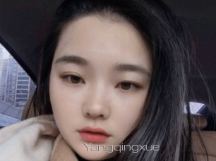 Yangqingxue