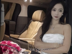 Yangqinmm