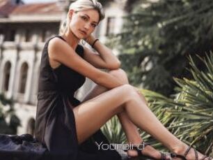 Yourbird