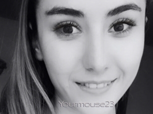 Yourmouse23