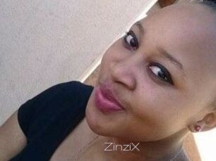 ZinziX