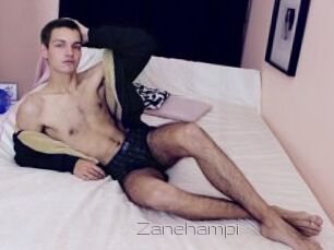Zanehampi
