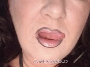 Zoekanaalsub